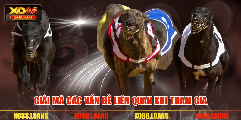 Giải mã các vấn đề liên quan khi tham gia