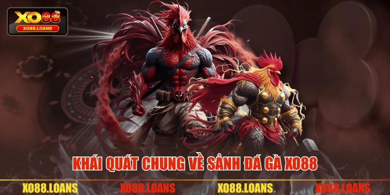 Khái quát chung về sảnh đá gà XO88