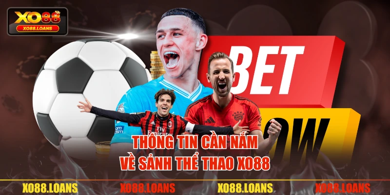 Thông tin cần nắm về sảnh thể thao XO88