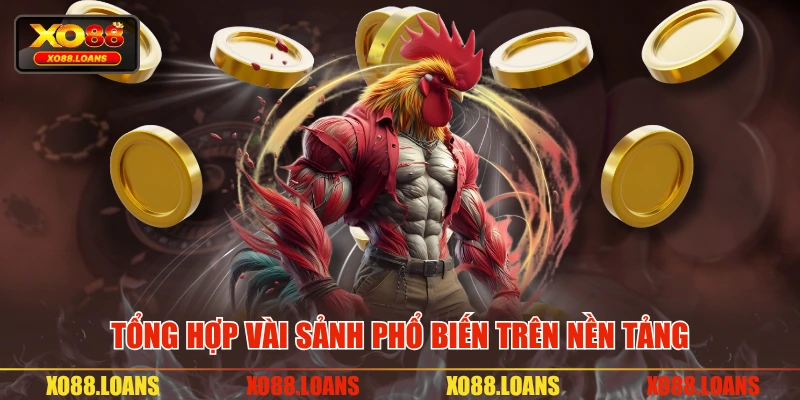 Tổng hợp vài sảnh phổ biến trên nền tảng